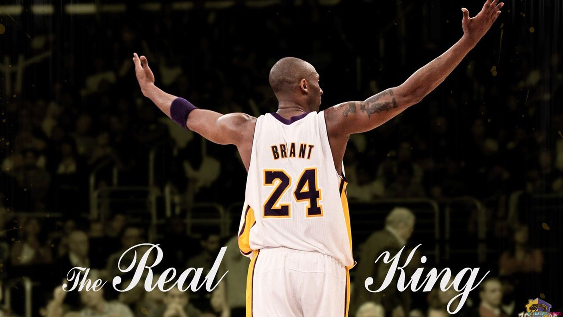 线上赛事直播引领全新观看体验，线上赛软件